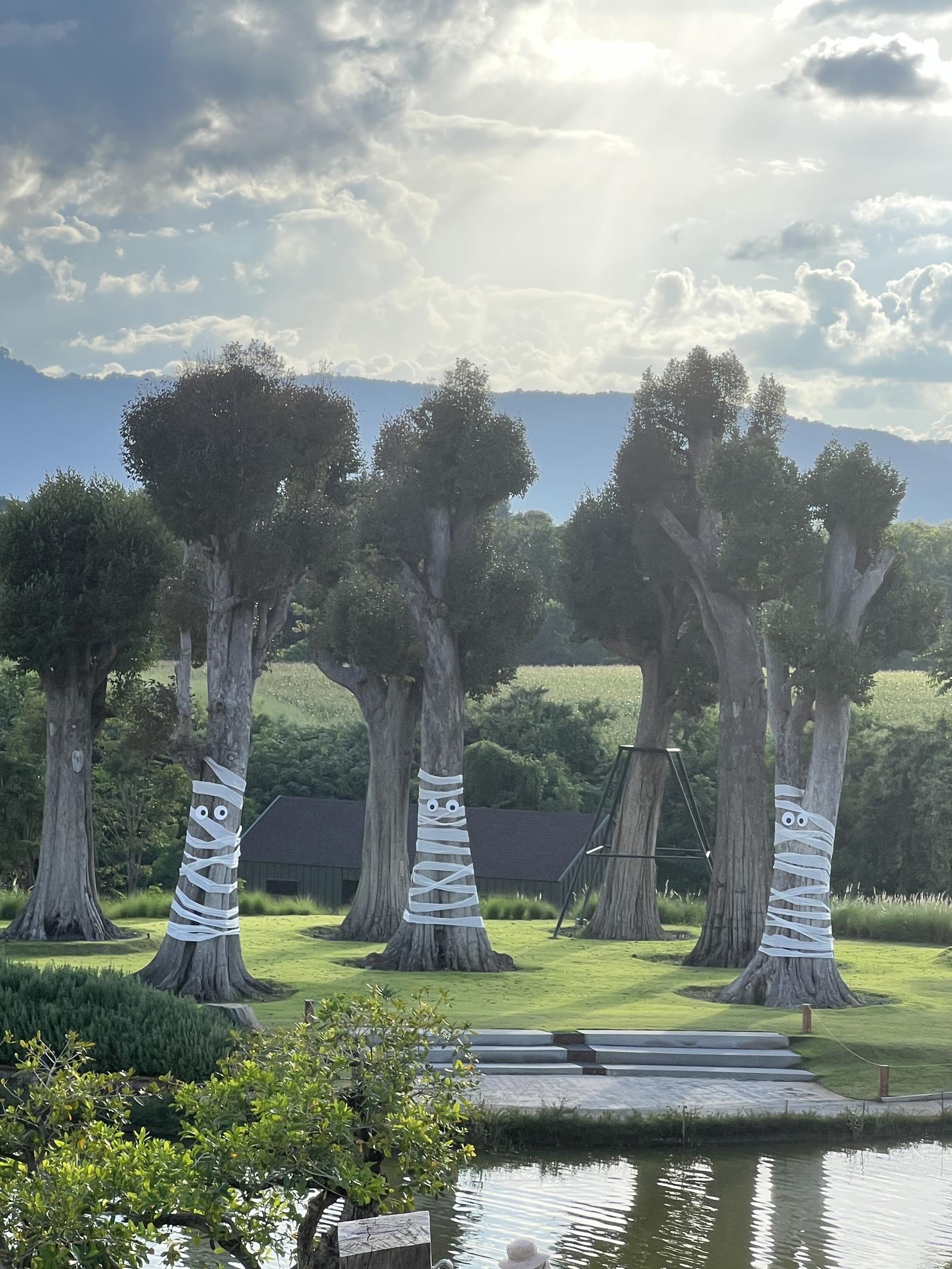 ร้าน Ck2secondhand3