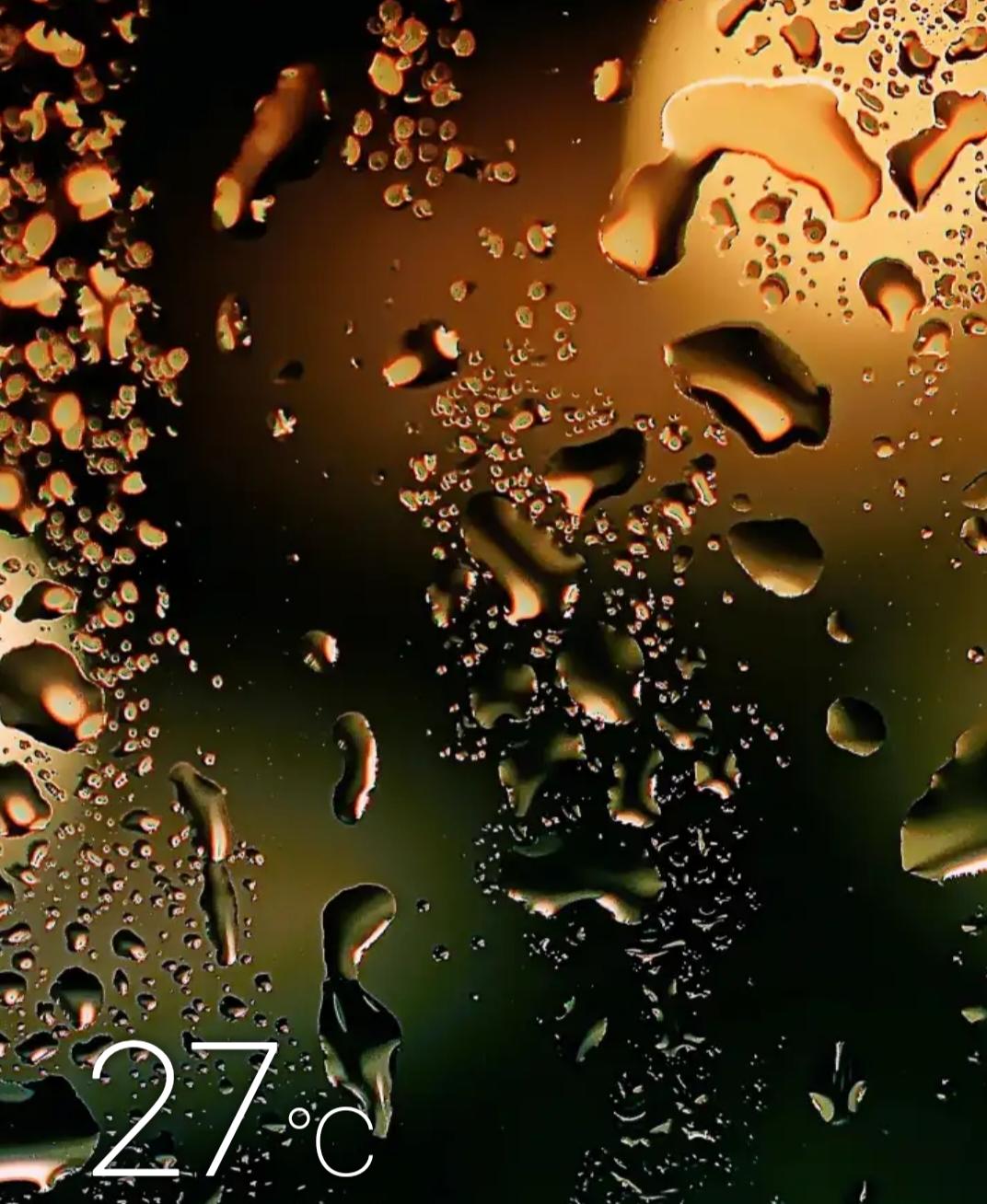 ร้าน secondhandlite