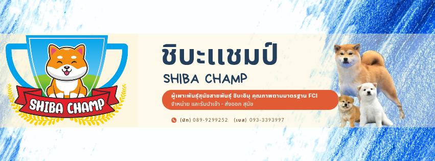 ร้าน ชิบะแชมป์