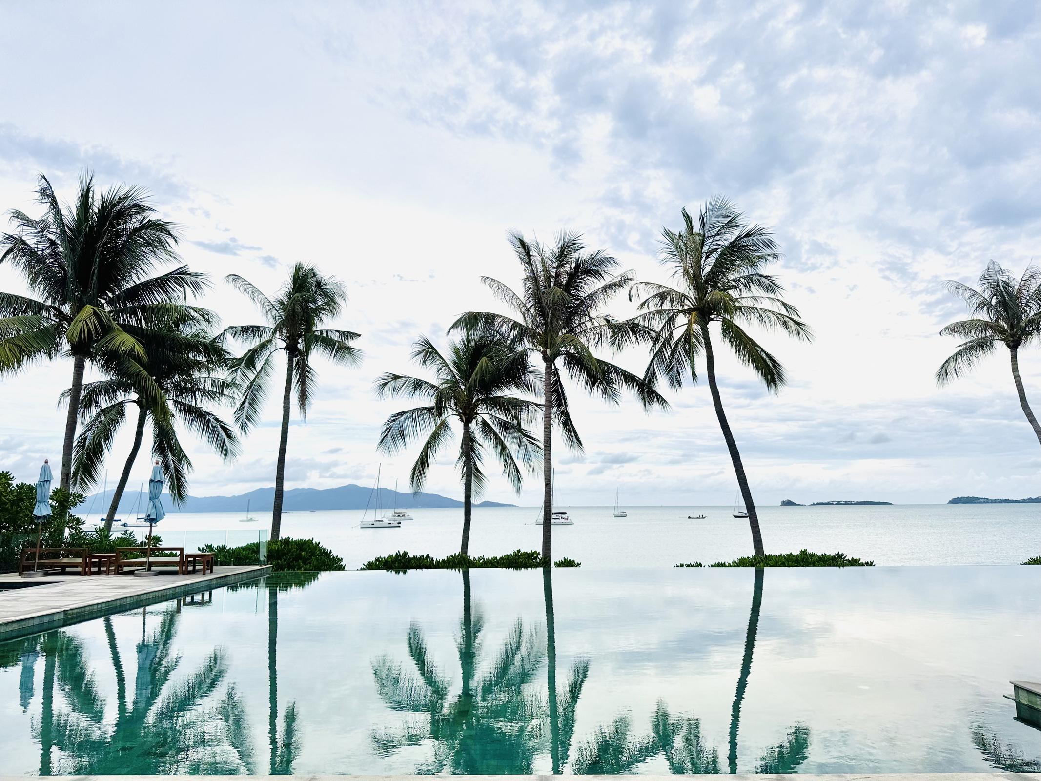 ร้าน Miaozap