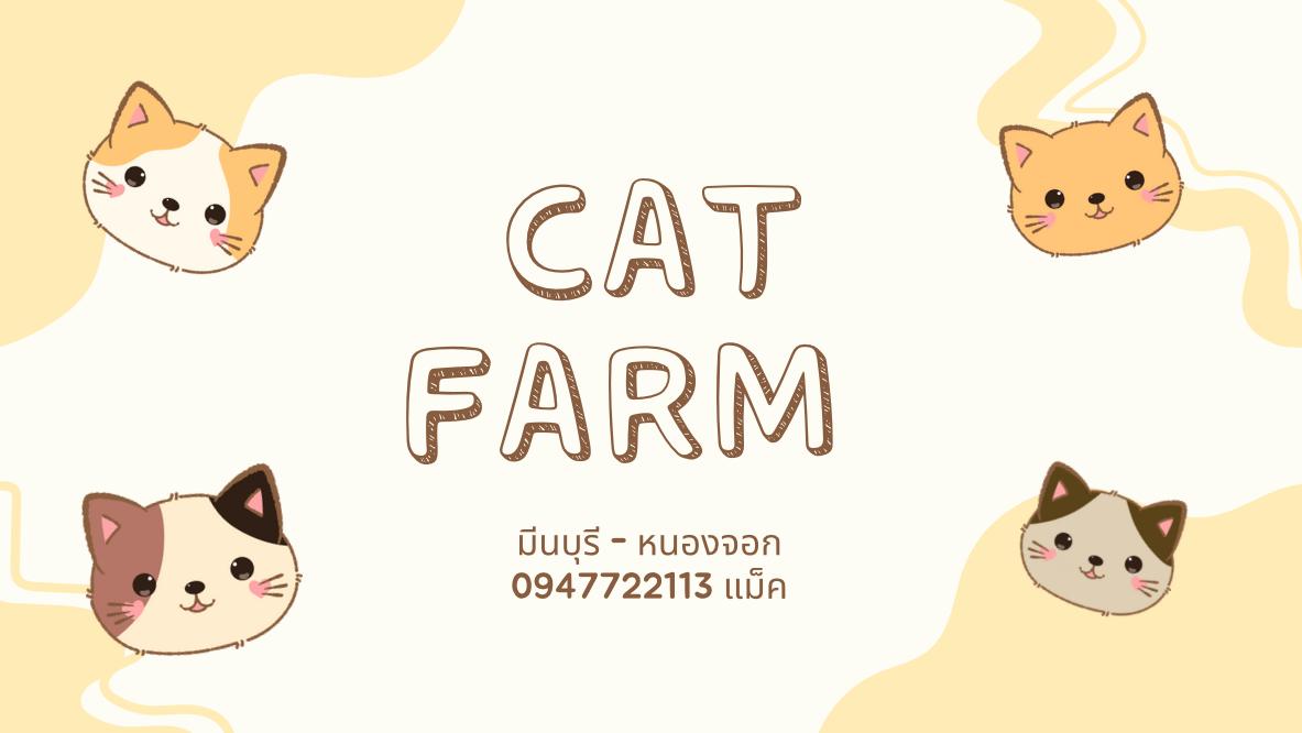 ร้าน Cat farm Nong chok