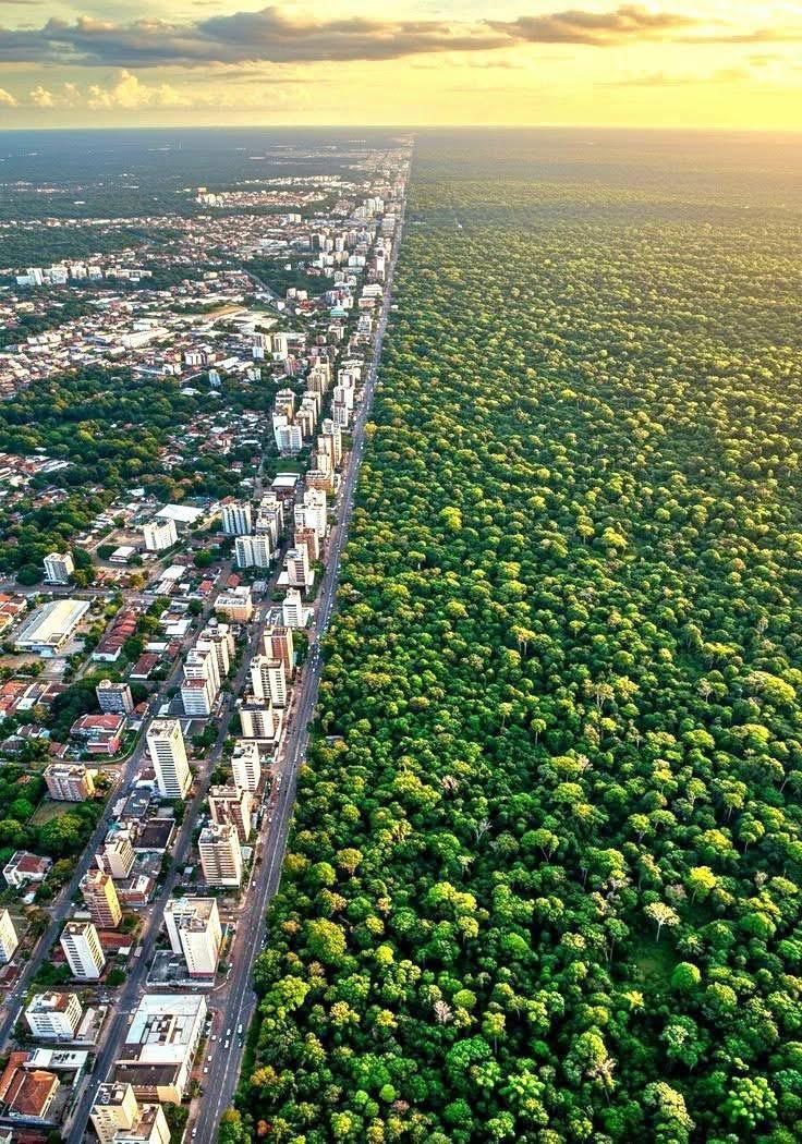 ร้าน แก่น พระเครื่อง