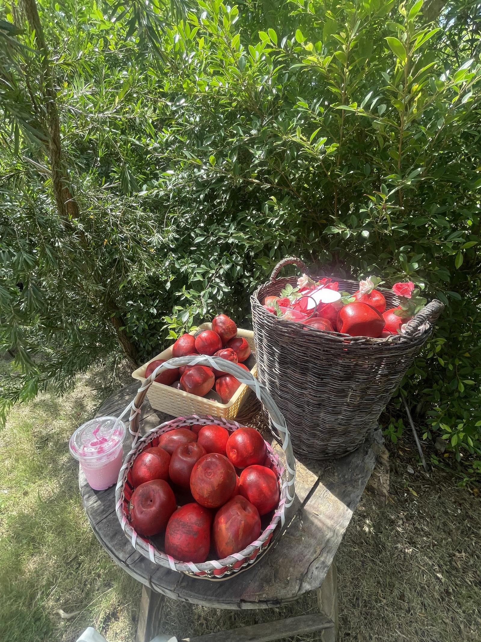 ร้าน Ploy Ploy