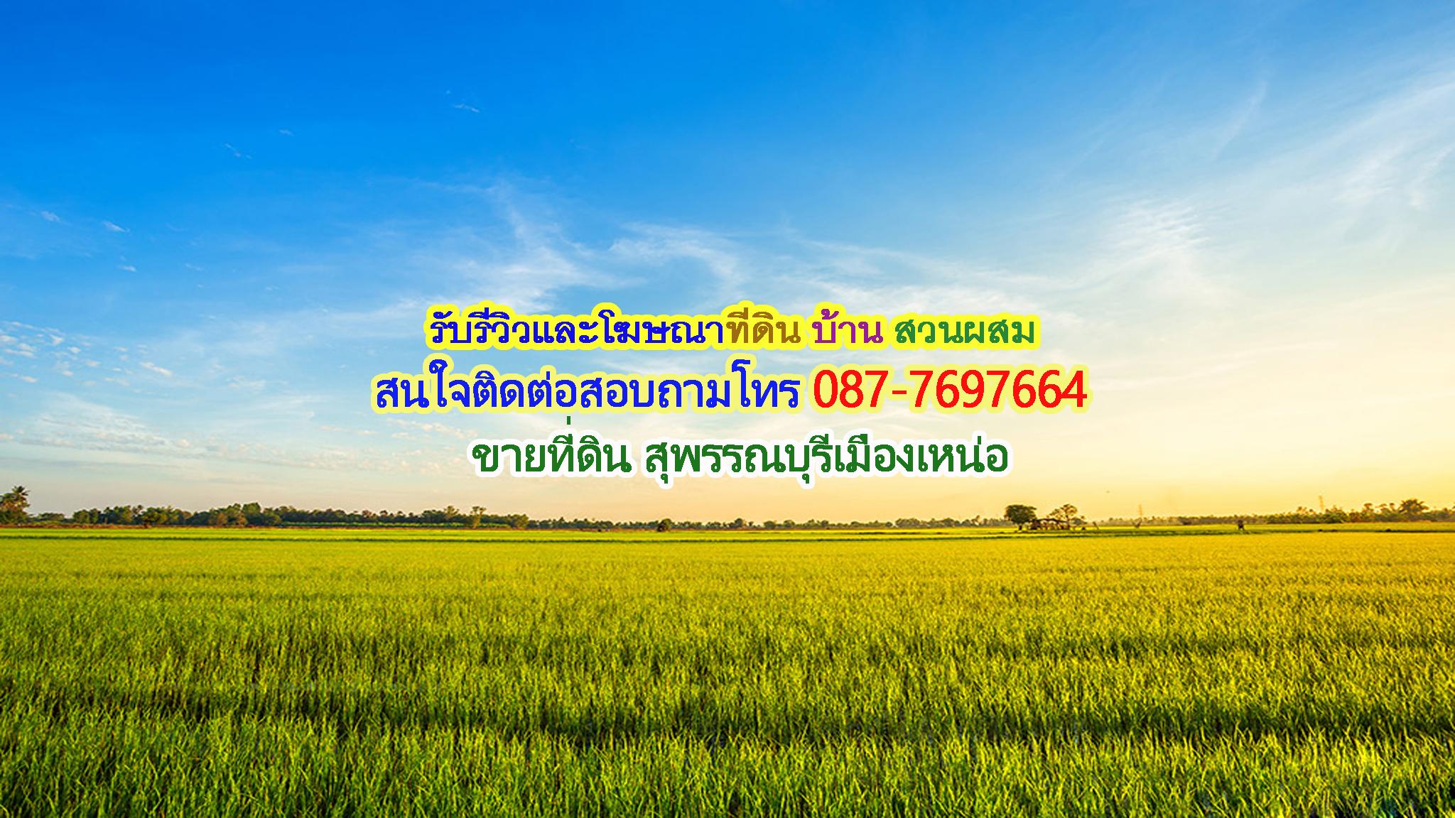 ร้าน แอมขายที่ดินสุพรรณบุรีเมืองเหน่อ