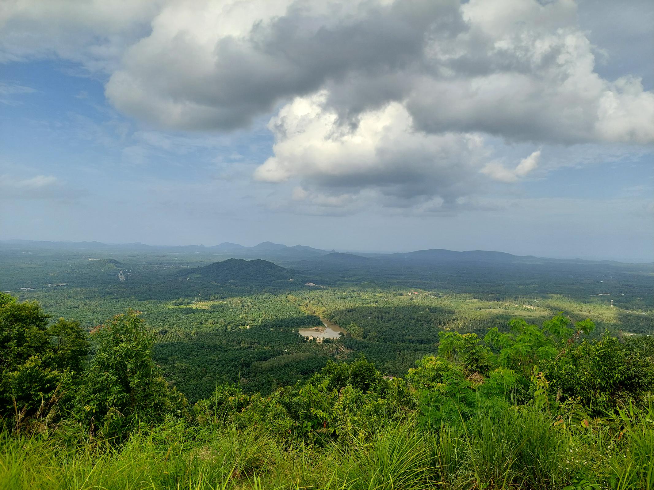 ร้าน มีดีชุมพร