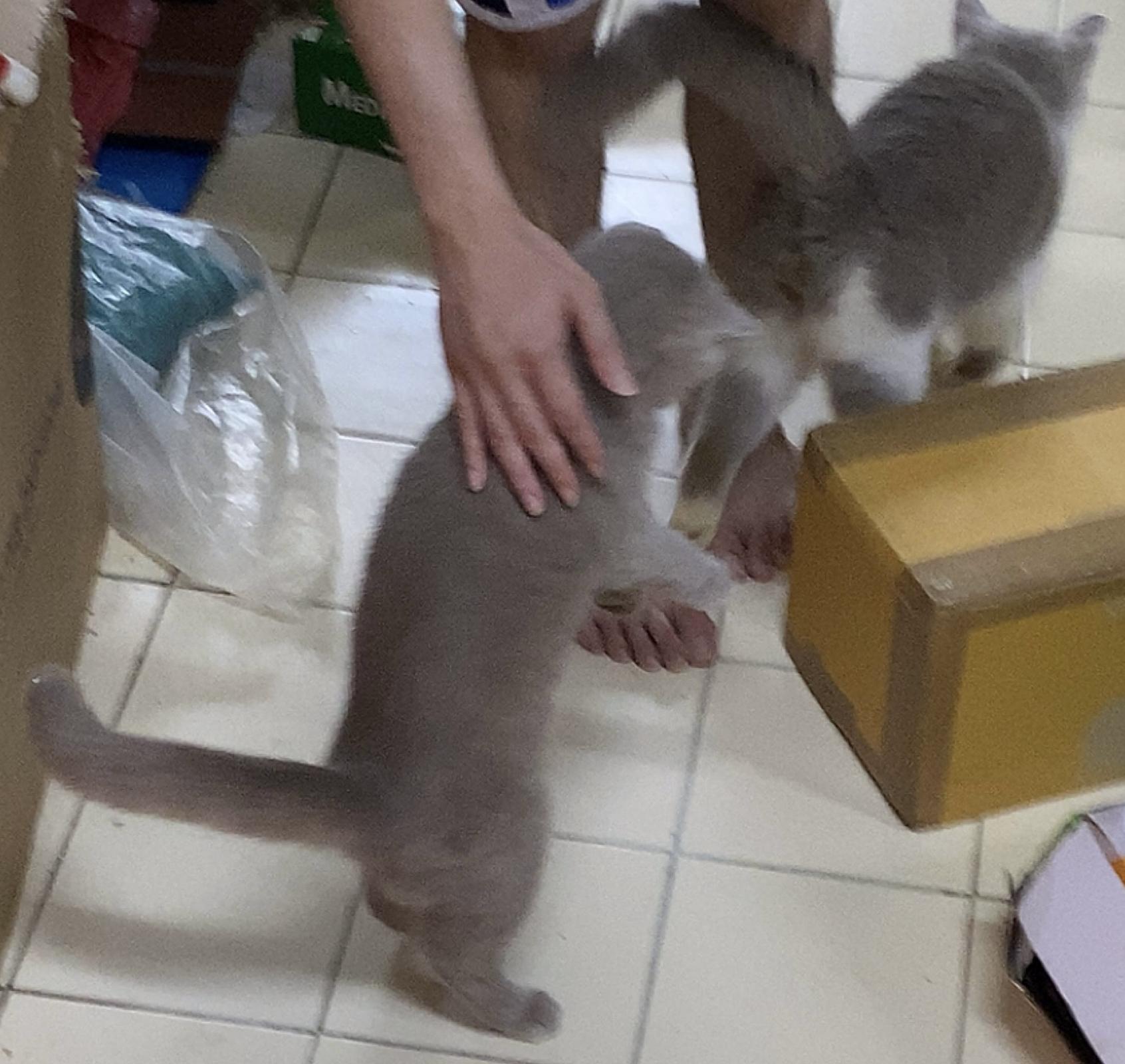 ร้าน Nat Chi