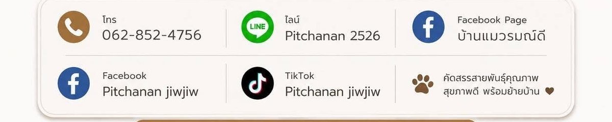 ร้าน บ้านแมวรมณ์ดี