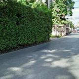 vacant land for sale Small plot suitable for making a single house, Phra Khanong, at the beginning of Soi รูปเล็กที่ 3