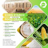 แป้งข้าวโพด, Corn Starch, คอร์นสตาร์ช, สตาร์ชข้าวโพด, Native Starch, Modified Starch