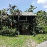 Teak house for rent near ob khan national park hangdong Surrounded by Nature. รูปที่ 1