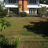 House 2 bedroom for rent big garden in Sathorn- Narathiwas road รูปเล็กที่ 6