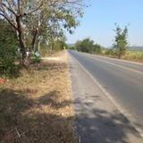 ขายด่วน : ที่ดิน ติดถนน เส้นท่าม่วงกาญจนบุรี ไป จอมบึงราชบุรี