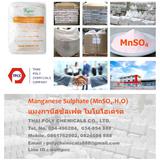 แมงกานีสซัลเฟต, Manganese Sulfate, Manganese Sulphate, MnSO4