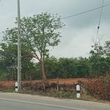ขายที่ดินติดถนน ใกล้มอเตอร์เวย์ อ.เมือง จ.กาญจนบุรี รูปที่ 3
