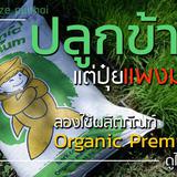 Organic Premium ปลูกข้าวปลอดภัย เลือกใช้ สารบำรุงดิน ORGANIC PREMIUM 