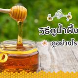 7 ประโยชน์ทางการแพทย์ จาก น้ำผึ้งแท้
