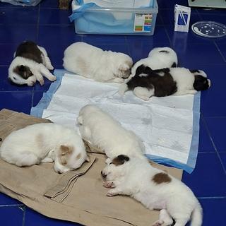 รูปโปรไฟล์ ของ ต้า ต้า