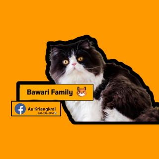 รูปโปรไฟล์ ของ Bawari Family