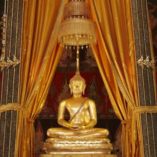 รูปโปรไฟล์ ของ Nongnuch Uthaipattanapong