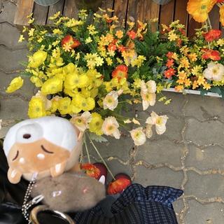 Profile picture of Misstser