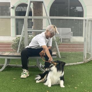 รูปโปรไฟล์ ของ Mpcd Pare