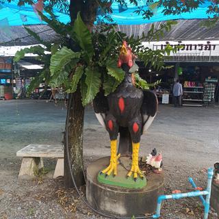 รูปโปรไฟล์ ของ ร้านเมฆ shop มีของมือสองเยอะ