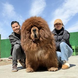 รูปโปรไฟล์ ของ PEARL KENNEL