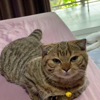 ประกาศทั้งหมด ของ ธนากร บุญพูล