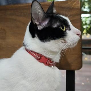 รูปโปรไฟล์ ของ Areerat Nirunsittirat