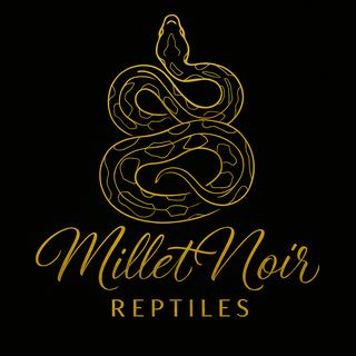 รูปโปรไฟล์ ของ Millet Noir Reptiles