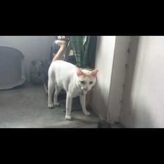 รูปโปรไฟล์ ของ สามารถ บุญมงคล