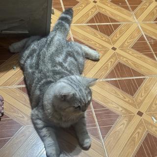 รูปโปรไฟล์ ของ เพชรรัตน์ วรณะภมร