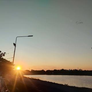 รูปโปรไฟล์ ของ aomshop