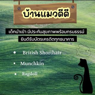 รูปโปรไฟล์ ของ บ้านแมวดีดี