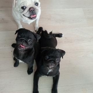 รูปโปรไฟล์ ของ user 189493