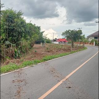 รูปโปรไฟล์ ของ หทัย โตวิเศษ