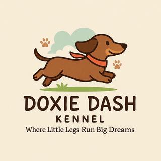 รูปโปรไฟล์ ของ  Doxie Dash Kennel ..