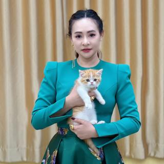 รูปโปรไฟล์ ของ cat เหมียว