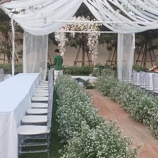 รูปโปรไฟล์ ของ thewish-tent