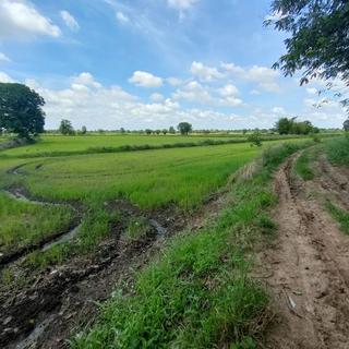 รูปโปรไฟล์ ของ user 194184