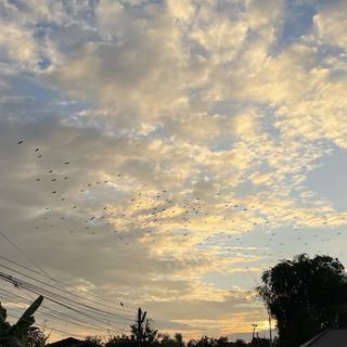 รูปโปรไฟล์ ของ Bbamsu 