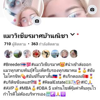 รูปโปรไฟล์ ของ Nicha Cattery