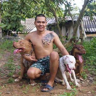 รูปโปรไฟล์ ของ 4ขาเพื่อนรัก