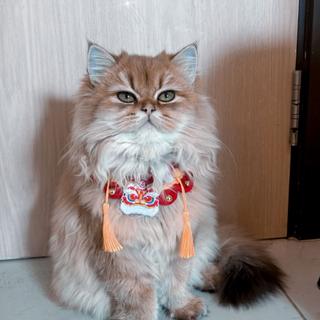 รูปโปรไฟล์ ของ ella tarn