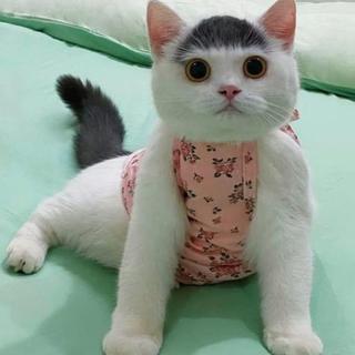 รูปโปรไฟล์ ของ มาเล่ขายดี