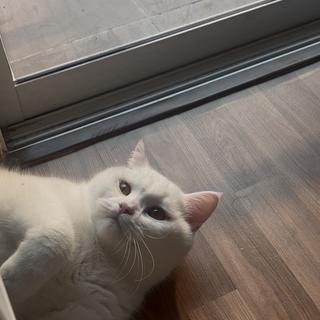 รูปโปรไฟล์ ของ Sirada Horthong