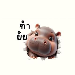 รูปโปรไฟล์ ของ chotirot  kumdet 