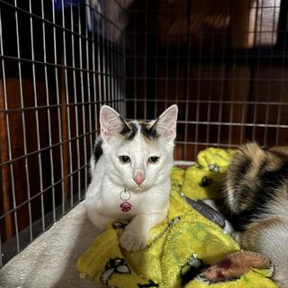 รูปโปรไฟล์ ของ ฟีล ปทุมสายใน