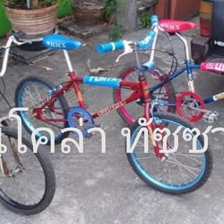 รูปโปรไฟล์ ของ นิโคล่า ทัซซานี่