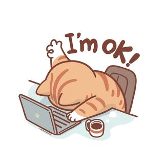 รูปโปรไฟล์ ของ ณัฐณิชา เมืองศรีสุข